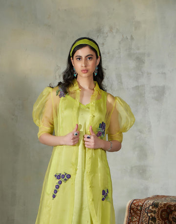 Organza Shirt Dress with Slip