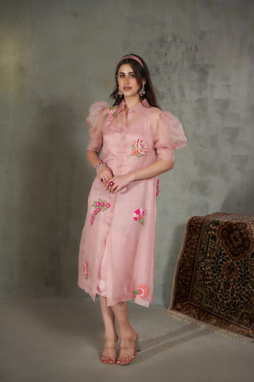 Organza Shirt Dress with Slip